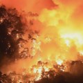Šumski požar u Kaliforniji na više od 28.000 hektara: Angažovano više od 600 vatrogasaca