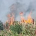 Nevreme i požari haranju Srbijom: Više od 200 požara u Srbiji: Oglasio se MUP, Dačić poziva građane na oprez!