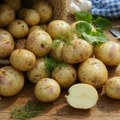 Zašto je krompir ovih dana čudnog ukusa