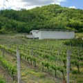 Vinarija Todorović gradi vinski podrum kod Knjaževca