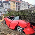 Auto spljošten kao palačinka: Ljudi zgranuto gledaju šta je ostalo od kola na koje je palo drvo u Pančevu (foto)