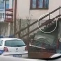 Divlje zveri šetaju centrom: Stravičan snimak iz Žitorađe: Vukovi udavili psa, lovci odmah krenuli u poteru (video)