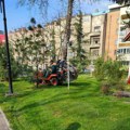 Na više lokacija čišćenje i uređenje zelenih površina