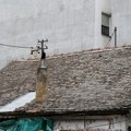 Projekat "Kuća na selu" - novi stanovnici Padeja