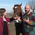Dragan je napustio karijeru u gradu, kako bi oživeo svoju dedovinu! Sa suprugom se vratio na selo i sada imaju ranč za koji…