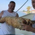 Aleksandar iz Kuršumlije postao živa legenda: Poneo jagnje u Grčku, a sad otkrio pikantne detalje