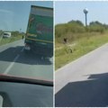 Stravičan sudar na putu Apatin-svilojevo: Auto stranih tablica učestvovao u udesu, povređene tri osobe (video)