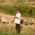 Traži samo jednog radnika, a telefon ne prestaje da zvoni: Miro nudi stan, hranu, odeću i cigarete, javilo mu se 1.000 ljudi