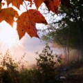 Jesen stiže, ali ne i pravo zahlađenje: Krajem septembra temperatura do 25 stepeni