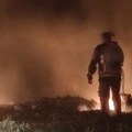Gorelo nisko rastinje i deponija smeća u ataru Bogojevca