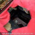 Meteorit smrskao automobil Naučnici u šoku, ovako nešto se ne može videti svaki dan (video)