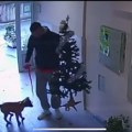 Mladić šetao psa Beogradom, a kada je ušao u zgradu sigurnosne kamere otkrile sraman čin: "Ne mogu ni da ga 'napljujem'…