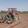 "Setvena ofanziva": Poljoprivrednici u Mačvi seju kukuruz i suncokret na blizu 60.000 hektara
