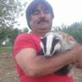 Domaćin miroljub iz rakinca ima ljubimca kakvog nema niko! S njim i ručak podeli iz istog tanjira (foto)
