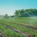 Ministarstvo poljoprivrede: U Vojvodini se završava projekat navodnjavanja finansiran iz Abu Dabija