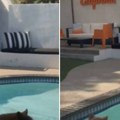 Kupili kuću ne sluteći ko će im dva puta nedeljno dolaziti u goste: Snimak iz bazena će vas nasmejati (video)