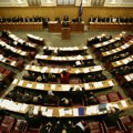“Albanci zaslužuju mesto u hrvatskom parlamentu, koristi imaju i Albanija i Kosovo”