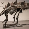 Arheologija: Skelet dinosaurusa prodat na aukciji za rekordnih 40 miliona evra