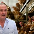 Kralj jaja posle 3 decenije gasi firmu! 163.000 koka ide na klanje zbog salmonele, Lukač tvrdi da su nalazi lažni!