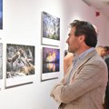 Fantastične fotografije: U Beogradu otvorena izložba sa konkursa „Andrej Stenjin“/foto/