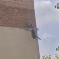 (Video) Novosađanin baca šut sa vrha zgrade! Besramno: lete komadi betona i cigle i to tik uz dečje igralište