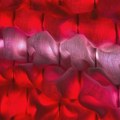 Digital Art Week Belgrade: Susret umetnosti, tehnologije i kritičkog promišljanja umetničkih praksi