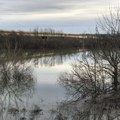 Министарство: Нема органолептичких промена воде након потонућа барже код Бачке Паланке