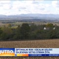 Idealni uslovi za jesenju setvu strnih žita u Šumadiji VIDEO