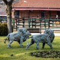 Nekima vrućine gode: Za životinje u ZOO vrtu Jagodina poseban tretman