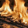 Ovo drvo najduže greje kuću i štedi ogrev: Mnogi ga biraju pogrešno, a razlika se oseti cele zime