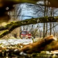 Nevreme u Vojvodini izazvalo nestanke struje i požare, vetar obarao stabla