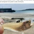 "Dok ovo pišem i dalje držim nogu" Srbin se valjao od bolova na grčkoj plaži, pa odmah uzeo telefon i alarmirao naše…