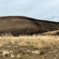 (Foto) spalili Titelski breg Paljenjem strnjike hoće da će poboljšaju vegetaciju; Stručnjaci ne misle tako