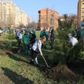 Nastavljena akcija "Sadimo sada za budućnost Novog Sada"