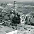 Zveri iz Černobilja otporne na rak?! Naučnici otkrili nešto neverovatno (video)