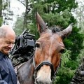 Za šta se to nemci spremaju: Šolc objavio fotografije sa vojnicima (foto)