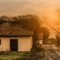 Seljaci zaprepašćeni prizorom u Srbiji: Zver nikada nije prišla ovako blizu!