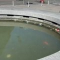 Leglo zaraze i sramota u centru grada: Dan nakon dramatičnog Vidovdana, na 100 metara od Ćacilenda nalazi se potencijalna…