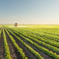 Biodistrikti, temelj za budućnost ruralnih područja
