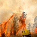 Veliki požar kod Bojnika: Vatrogasci i meštani brane kuće u Vujanovu