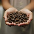 Zašto raste cena kafe? Kako klimatske promene i geopolitička situacija utiču na skok