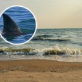 Žena u lokvi krvi izašla iz mora! Ostala bez dela kože Napad ajkule na plaži u poznatom letovalištu: Turistima naređena hitna…