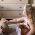 Devojčica mazila prase i kokošku, a zbog scene na TV-u majka je zanemela: Kadar otkrio neverovatne sličnosti