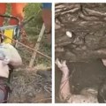 Žena upala u bunar pun zmija i komaraca Spašena nakon 54 sata (video)