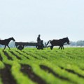 Skupština usvojila ključne zakone: Potpuna kontrola semena, veća bezbednost i podrška vinarima