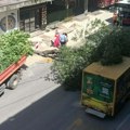 Palo drvo u centru Niša a grane završile na dostavnom kombiju, blokiran saobraćaj