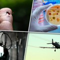 Širi se opasna bolest u regionu: Potvrđeno 13 slučajeva groznice Zapadnog Nila, troje u kritičnom stanju