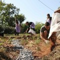 Deset gradova Srbije dobilo kišne bašte u okviru projekta „Niklo kao ja“