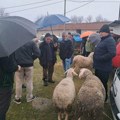 Ponovo radi stočna pijaca u Ristovcu