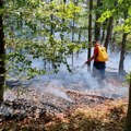 Još se gase požari u Gornjem Sinkovcu i Donjem Stopanju kod Leskovca